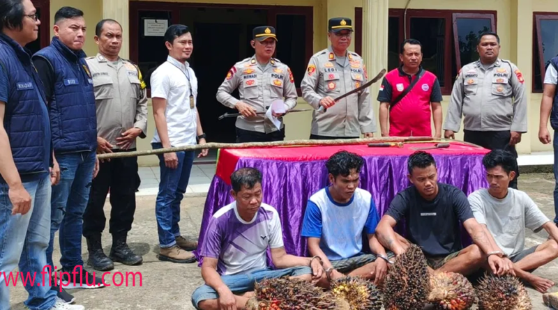 4 Pencuri Buah Sawit4 Pencuri Buah Sawit